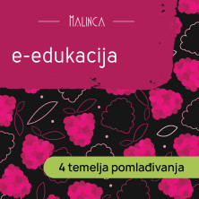 E-edukacija: 4 temelja pomlađivanja