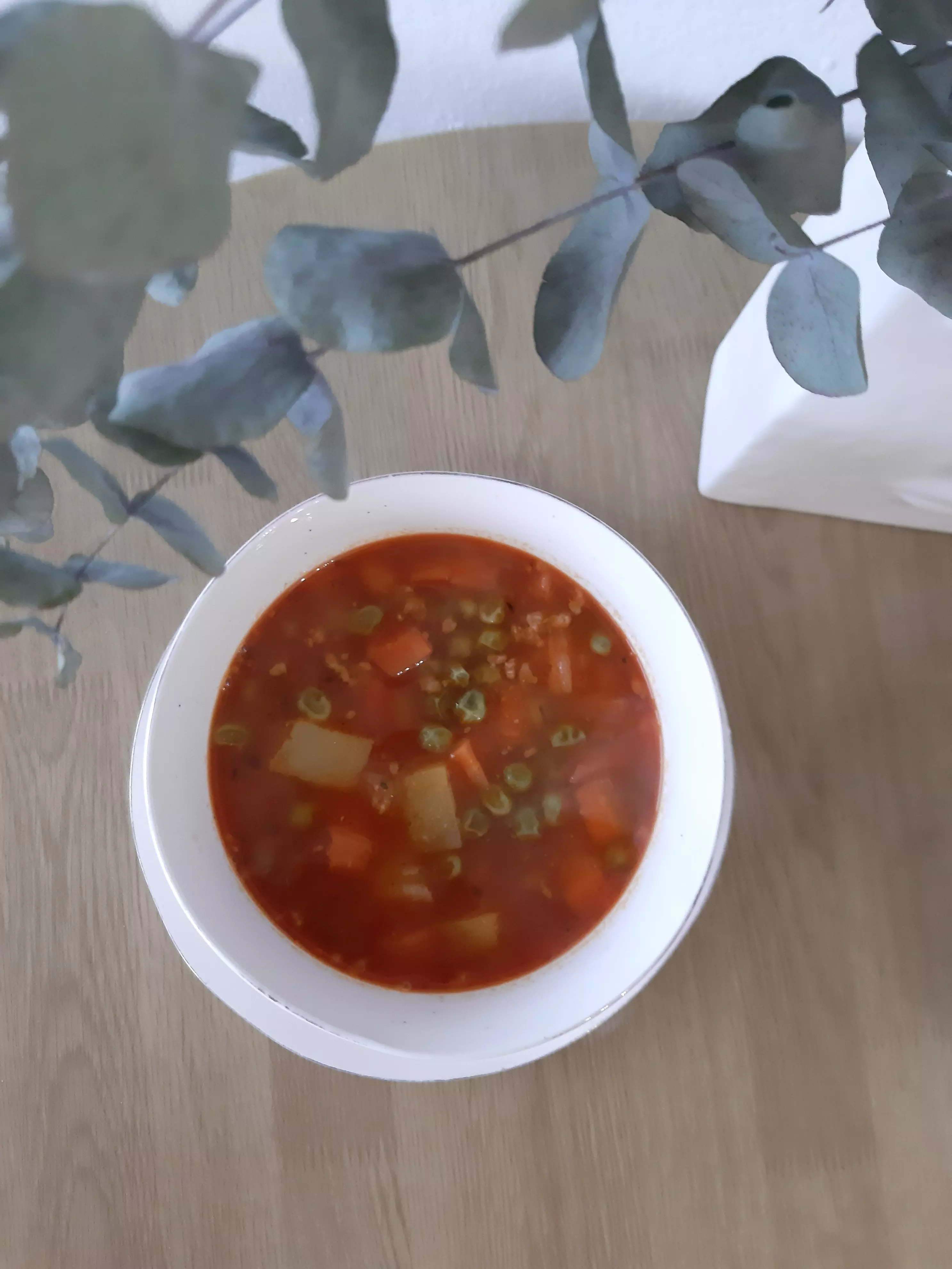 Varivo od mljevenog mesa i povrća