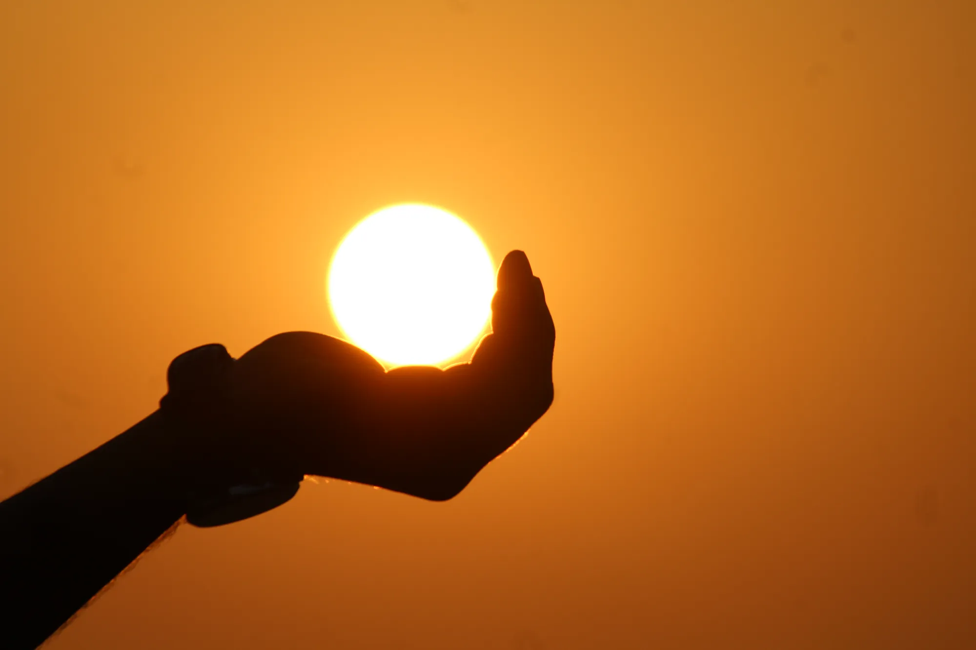 Sunce: podrška detoksikaciji i dobrobiti