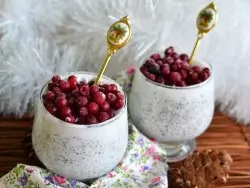 Chia puding sa brusnicama