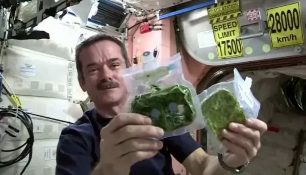 Hrana astronauta od spiruline
