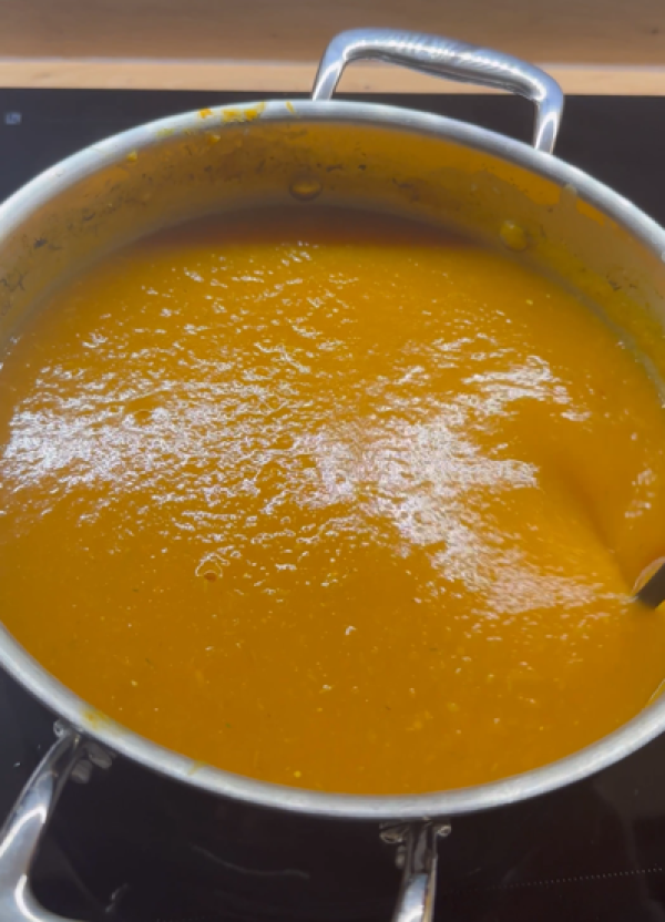 Gusta juha od povrča