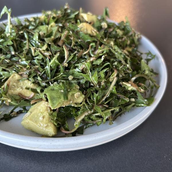 Salata od maslačka malo drugačije