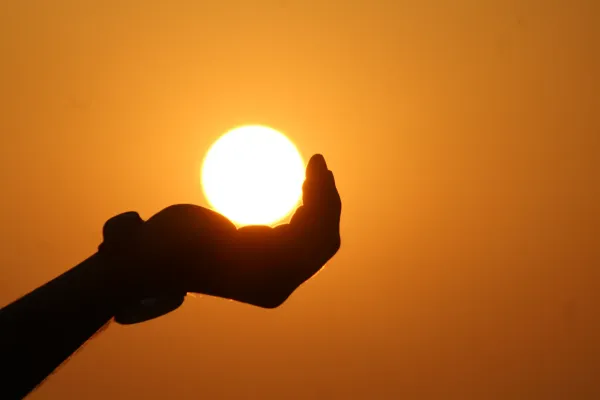 Sunce: podrška detoksikaciji i dobrobiti
